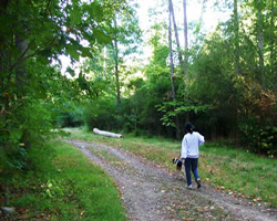 Carolina North Forest Trail