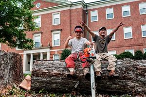 Bleh Po (left) and Kyaw Po (right) after taking down a diseased tree in front of Beard Hall. (Jon Gardiner/UNC-Chapel Hill)
